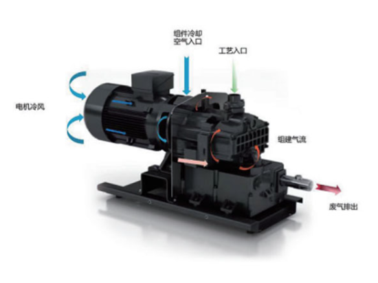 DCPS single-stage claw pump